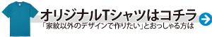 ステカTシャツ