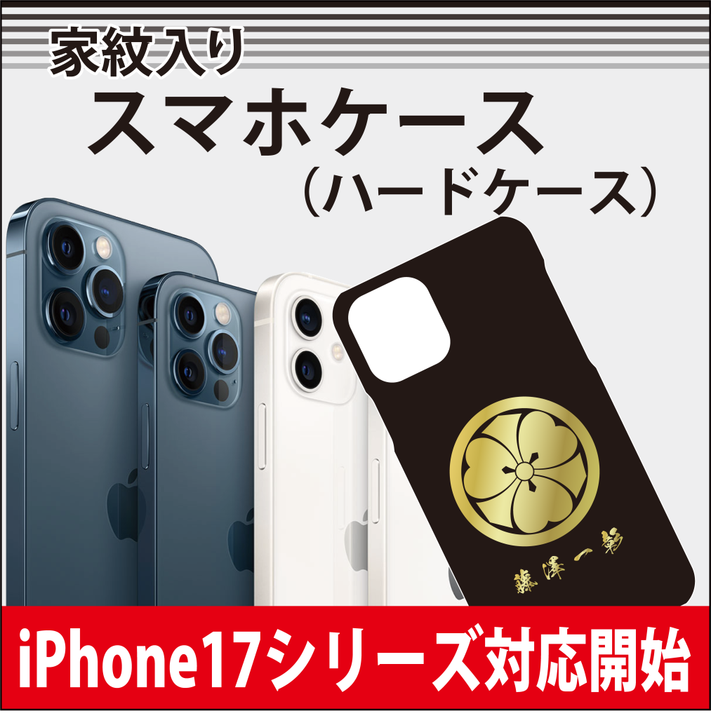 iPhone17