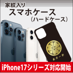iPhone17